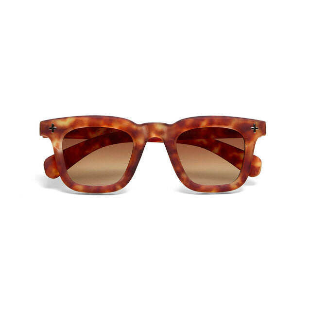 Sunglasses FIRENZE Collection OK068-SH-BR