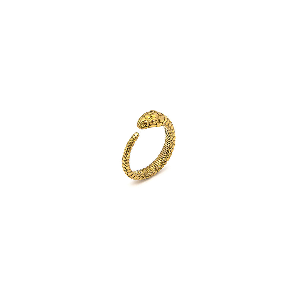 Ring DD15074