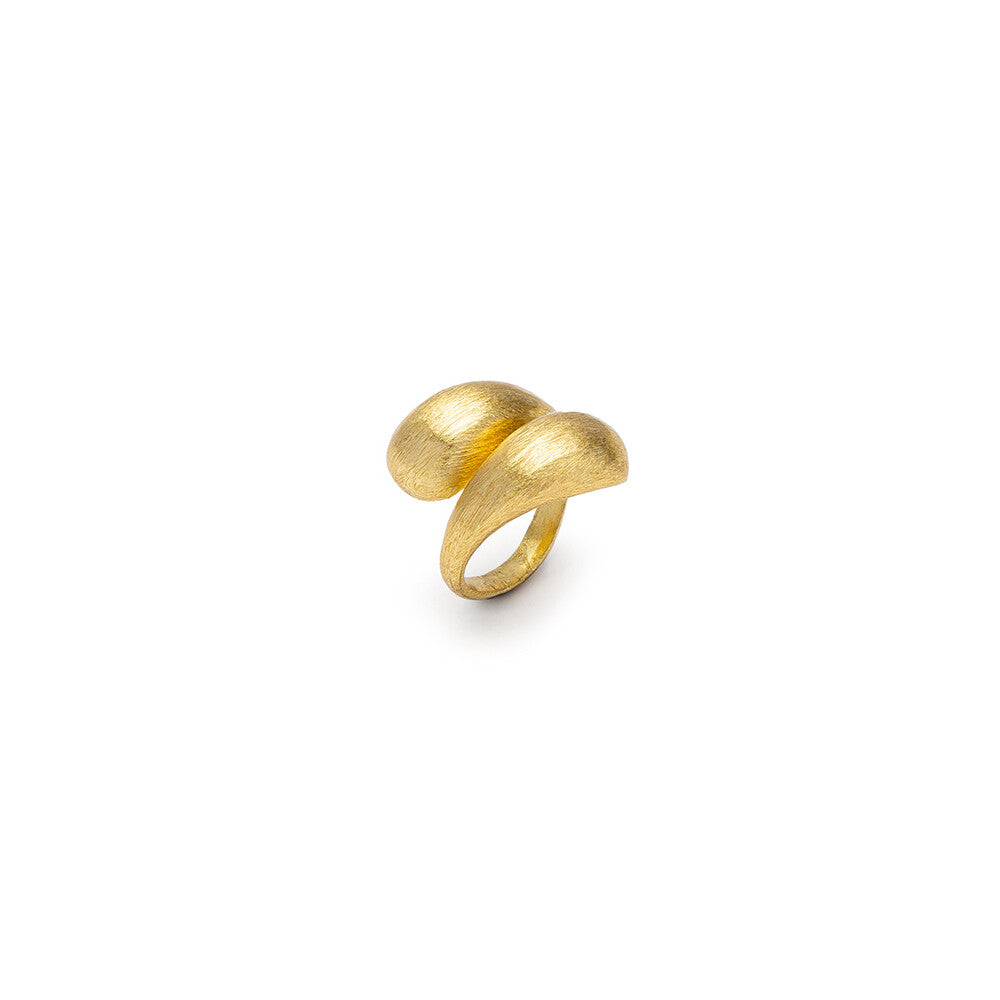 Ring DD15098